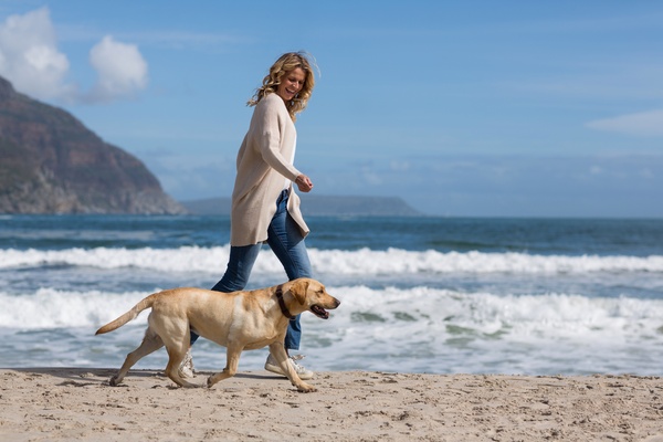海辺を歩く人と犬